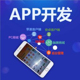 專(zhuān)業(yè)App開(kāi)發(fā)如何實(shí)現(xiàn)效益快？軟件開(kāi)發(fā)公司的選擇與策略