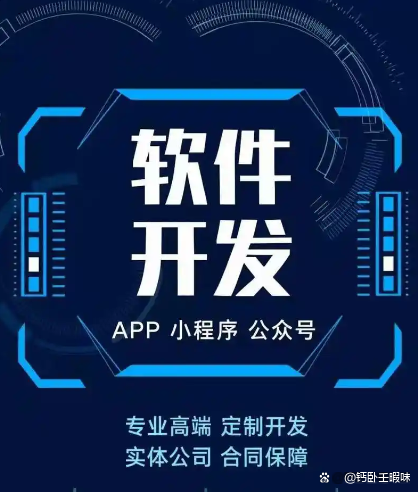 個(gè)性化功能需求，專(zhuān)業(yè)定制軟件開(kāi)發(fā)服務(wù)如何全面滿(mǎn)足？
