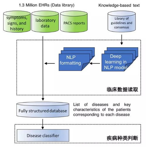 中國AI登上Nature子刊 讀懂病歷、推薦診斷，準(zhǔn)確度超越人類醫(yī)生
